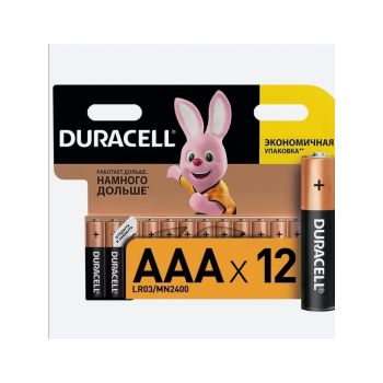 Duracell basic AAA HBDC 12