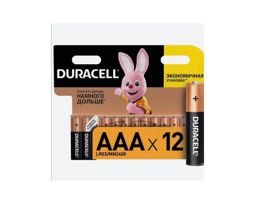 Duracell basic AAA HBDC 12