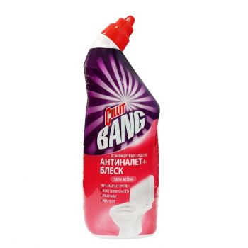 CILLIT BANG Ср-во дез д/туал Анти-нал+Блеск cила весны 750мл